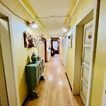 Daire Trilli House
